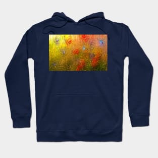 Summer Meadow Hoodie